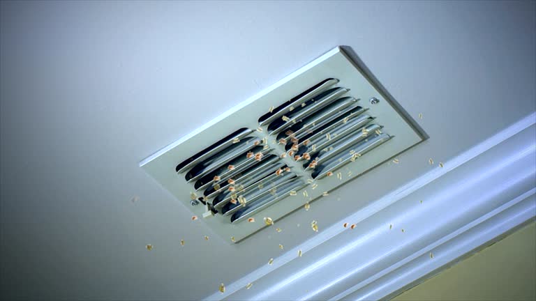 Best Duct Cleaning Specialists  in Mont Alto, PA
